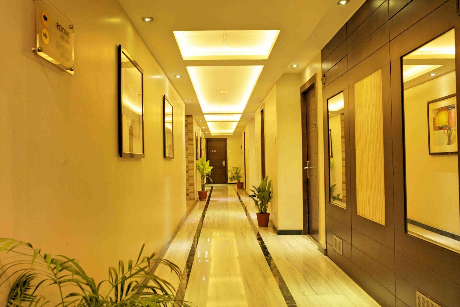 surya royal 6